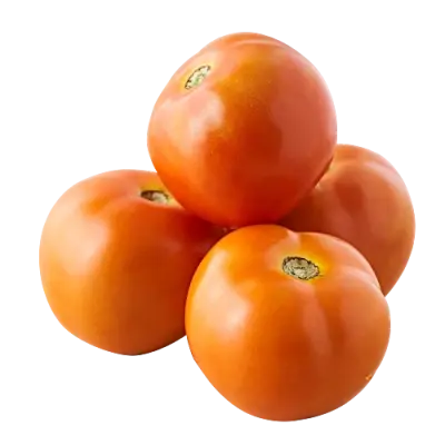 अवेळी पावसात टोमॅटो शेती: स्मार्ट पीक व्यवस्थापनाने मिळवा भरघोस उत्पन्न