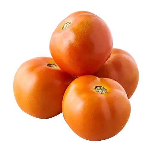 अवेळी पावसात टोमॅटो शेती: स्मार्ट पीक व्यवस्थापनाने मिळवा भरघोस उत्पन्न