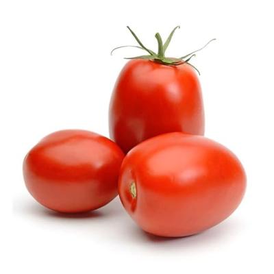 Fresh Tomato Hybrid, 1kg