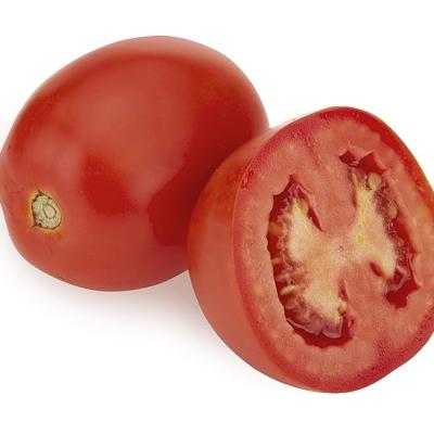 Fresh Tomato Hybrid, 1kg